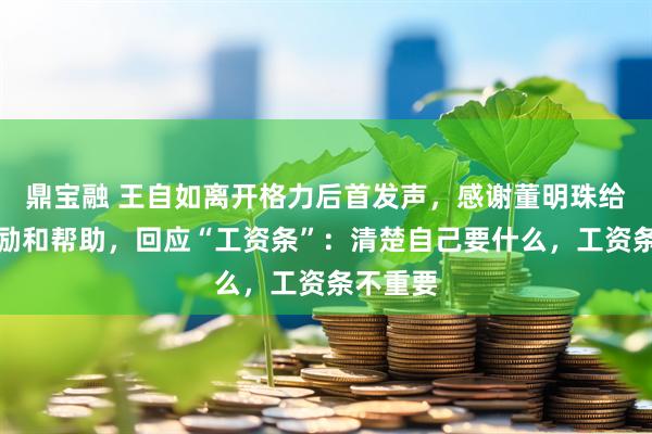 鼎宝融 王自如离开格力后首发声，感谢董明珠给自己鼓励和帮助，回应“工资条”：清楚自己要什么，工资条不重要