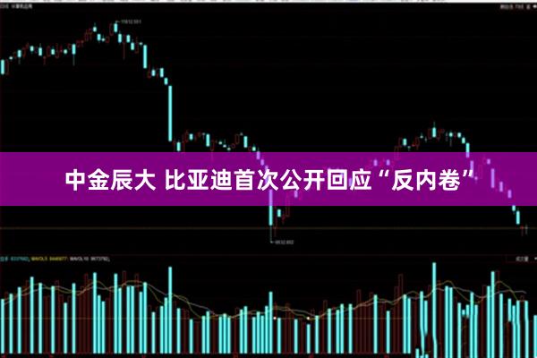 中金辰大 比亚迪首次公开回应“反内卷”