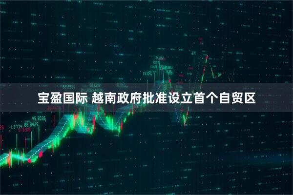 宝盈国际 越南政府批准设立首个自贸区