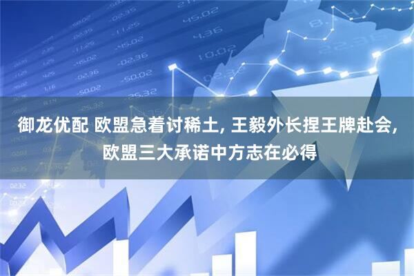 御龙优配 欧盟急着讨稀土, 王毅外长捏王牌赴会, 欧盟三大承诺中方志在必得
