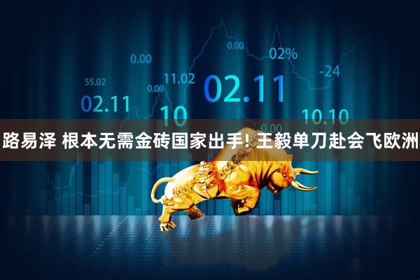 路易泽 根本无需金砖国家出手! 王毅单刀赴会飞欧洲