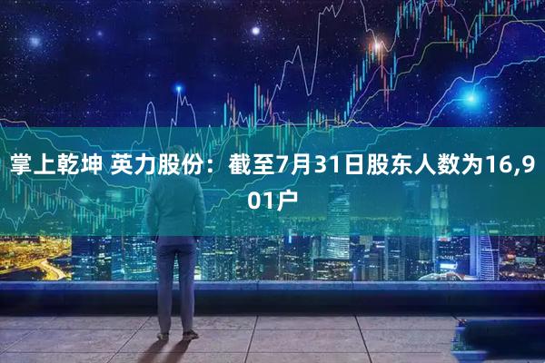 掌上乾坤 英力股份：截至7月31日股东人数为16,901户