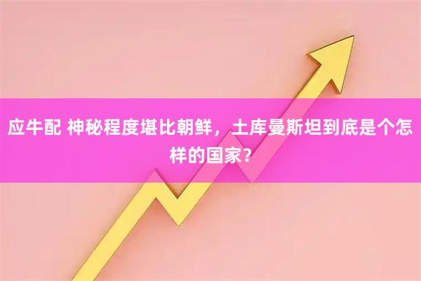 应牛配 神秘程度堪比朝鲜，土库曼斯坦到底是个怎样的国家？