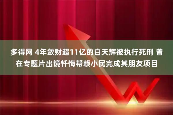 多得网 4年敛财超11亿的白天辉被执行死刑 曾在专题片出镜忏悔帮赖小民完成其朋友项目